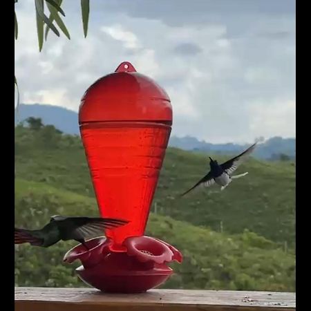 مبيت وإفطار سانتا روزا دي كابال El Refugio Del Colibri المظهر الخارجي الصورة