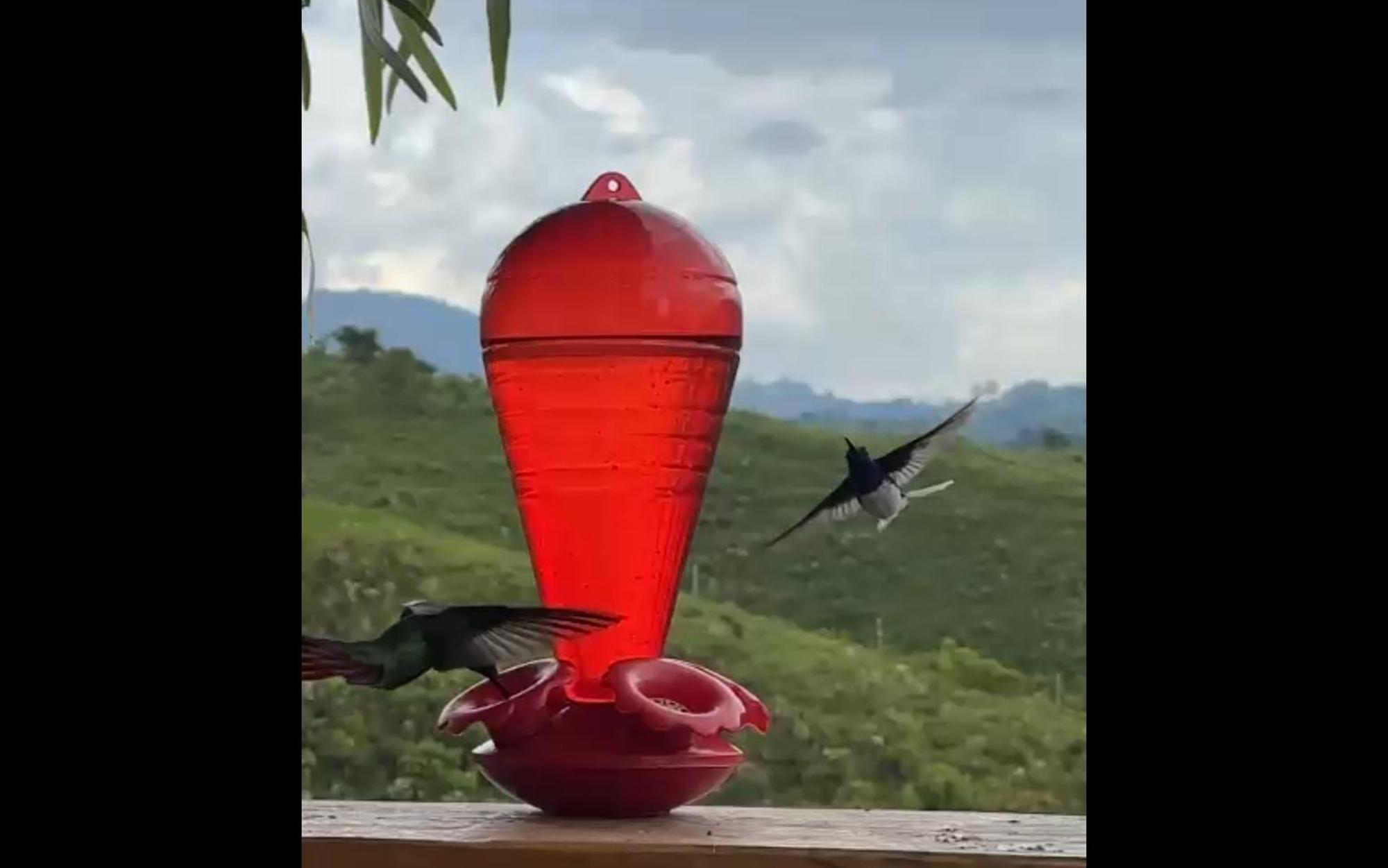 مبيت وإفطار سانتا روزا دي كابال El Refugio Del Colibri المظهر الخارجي الصورة